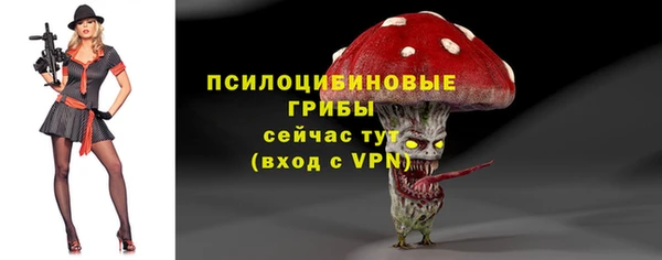 сатива Белоозёрский