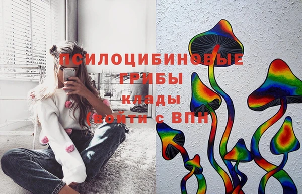 сатива Белоозёрский