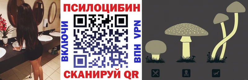 OMG tor  Краснообск  Галлюциногенные грибы Psilocybine cubensis  хочу наркоту 
